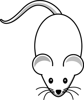 Affordable-Rodent-Control--in-Arapahoe-North-Carolina-Affordable-Rodent-Control-1931758-image
