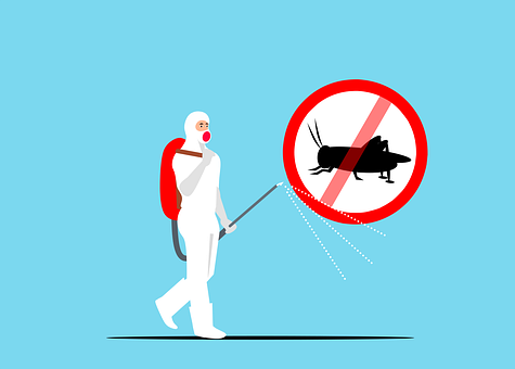 Exterminators--in-Arapahoe-North-Carolina-Exterminators-1934305-image