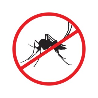 Pest-Control-Maintenance-Programs--in-Arapahoe-North-Carolina-Pest-Control-Maintenance-Programs-1936569-image