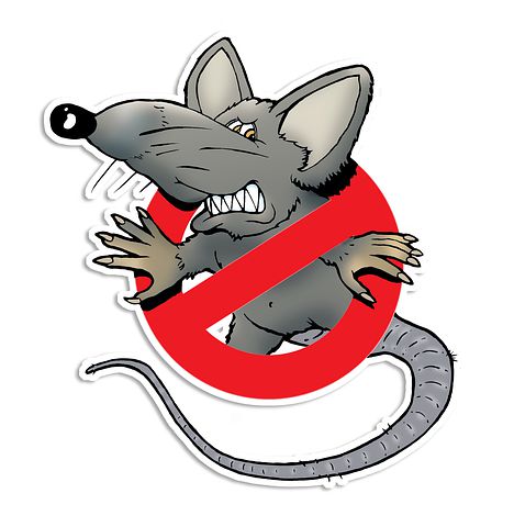 Rodent-Control--in-Brevard-North-Carolina-Rodent-Control-1937135-image